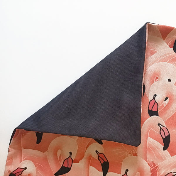 A Flamboyance of Flamingos